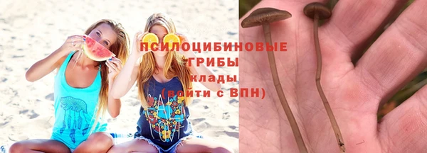 первитин Армянск